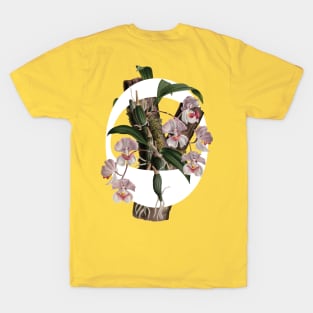 Oh, Tropicalia! T-Shirt